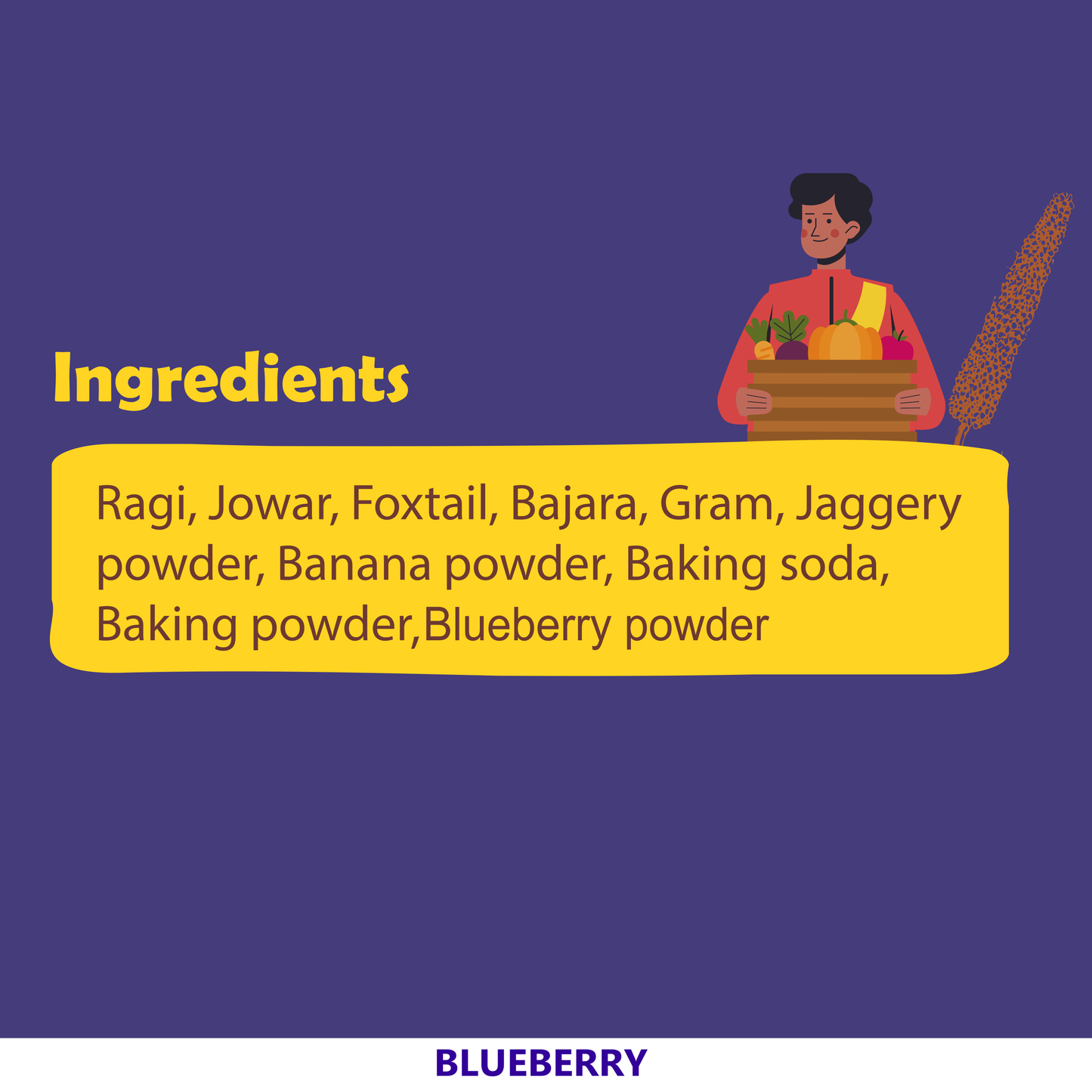 Blueberry Millet Pancake Mix - 23g Protein